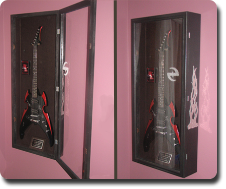 Guitar Display Case